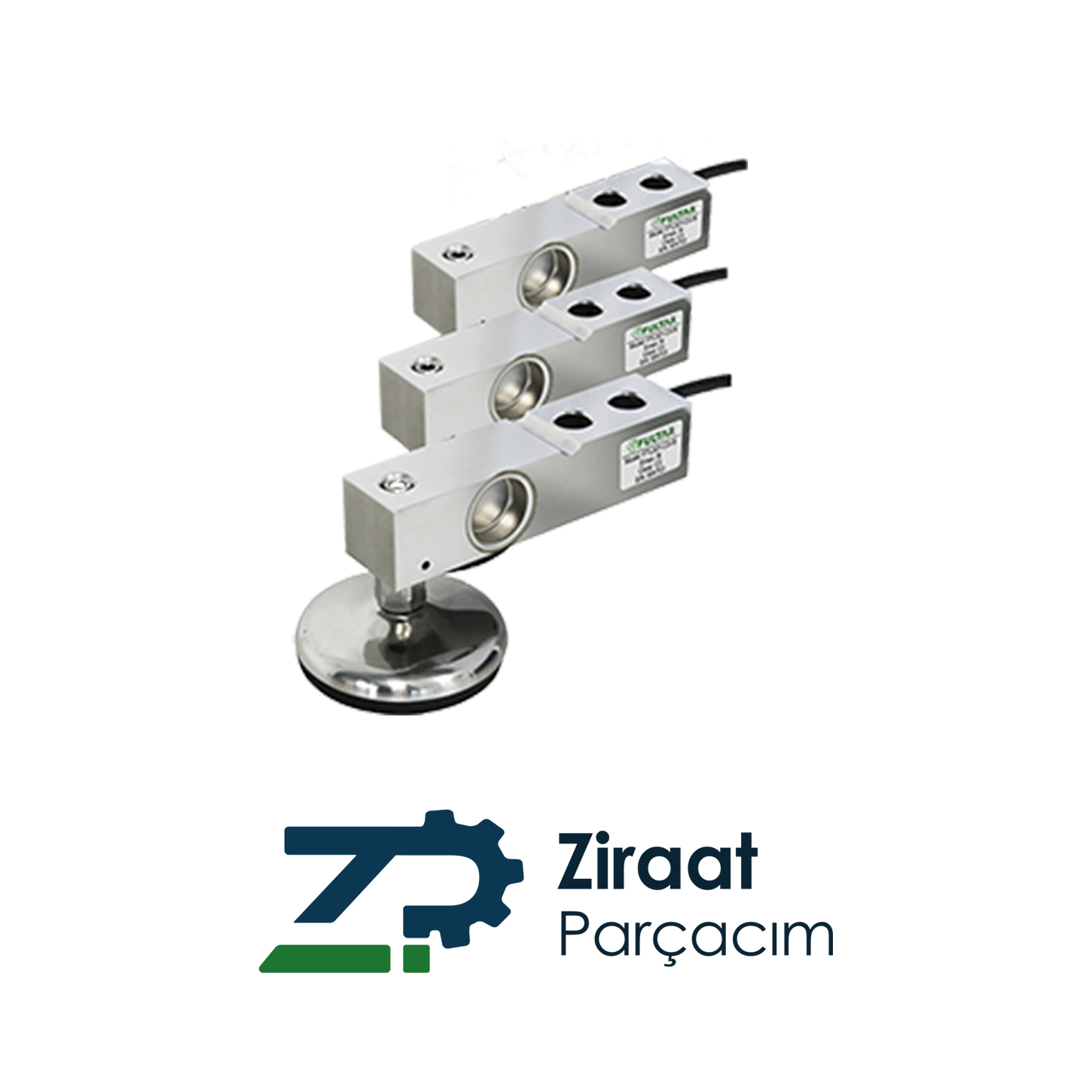 KANTAR-BASKÜL-TARTI